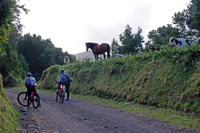 Guided Electric Mountain bike Tour Ribeira Grande - Key highlights I’d put on your must-do list