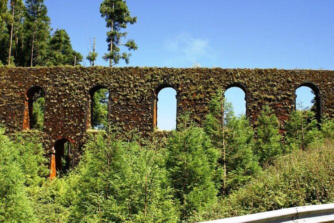Guided tour of Sete Cidades & Lagoa do Fogo, lunch included - Ananás Santo António and Pico Carvão: pineapple greenhouses plus a north-coast look