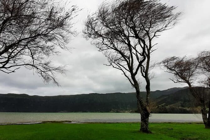 Guided Visit to the Crater and Volcano of Lagoa das Sete Cidades - What Makes the Guides and Small Van Format Work
