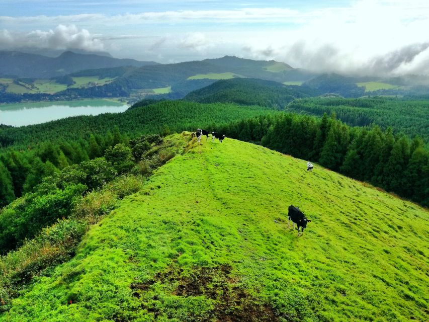Half-Day 4X4 Tour Sete Cidades. Off the beaten Track. - Price and Value: What $56 Gets You (and What It Does Not)
