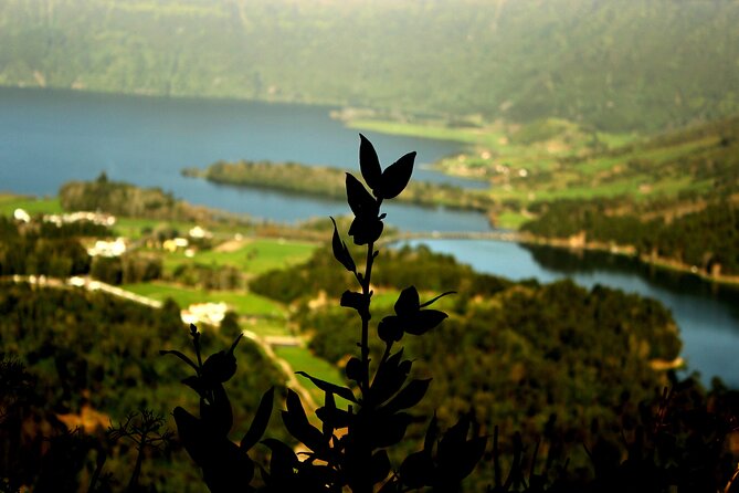 Half-Day 4x4 Tour to Lagoa das Sete Cidades - Murro das Nove Janelas aqueduct: history you can actually see