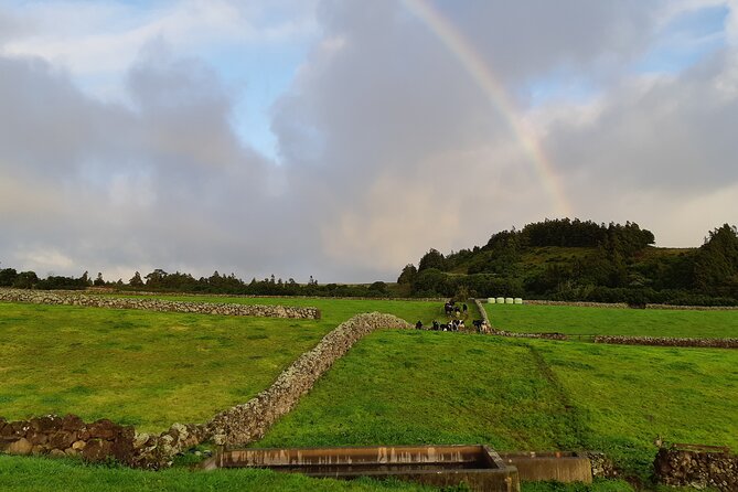 Half-Day Farm Visit and Cow Milking Experience - Beyond milking: 10.5 miles of farm-road travel and quick stops