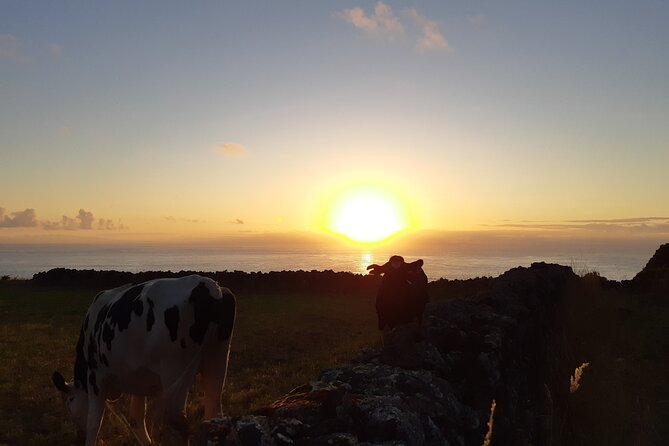 Half-Day Farm Visit and Cow Milking Experience - Comfort and weather support you should take seriously