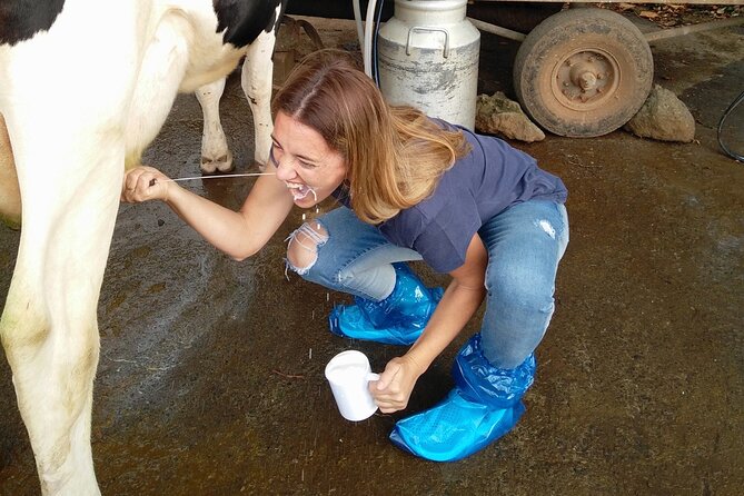 Half-Day Farm Visit and Cow Milking Experience - Value check: what you get for $72.09 per person
