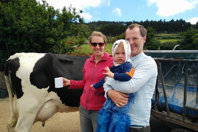 Half-Day Farm Visit and Cow Milking Experience - Who should book this (and who might want to think twice)