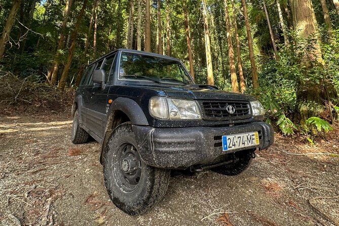 Half Day Private Sete Cidades Jeep Tour – Shore Excursion - Sete Cidades inside the caldera: more than a single photo stop