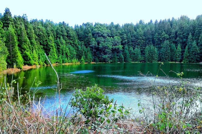 Half Day Sete Cidades Crater Minivan Tour - Stop One: Sete Cidades Western Crater Views