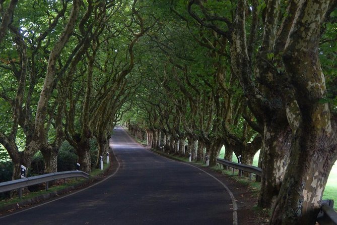 Half Day Terceira Island Tour by 4x4 - Viewpoint Stops and Off-Road Backroads: The Real Point of 4x4