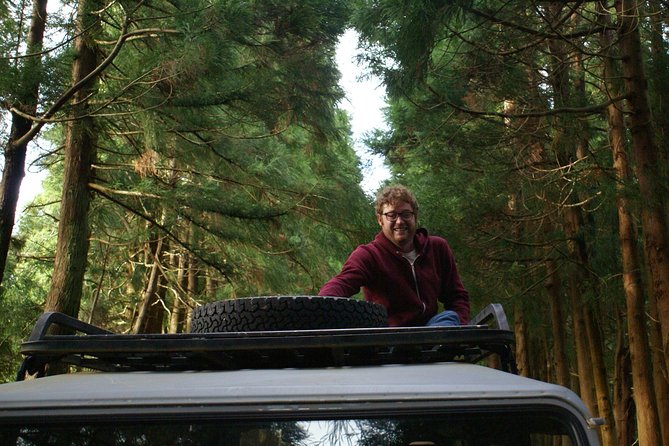 Half Day Terceira Island Tour by 4x4 - The Plant Stops: What to Look For When the Jeep Stops