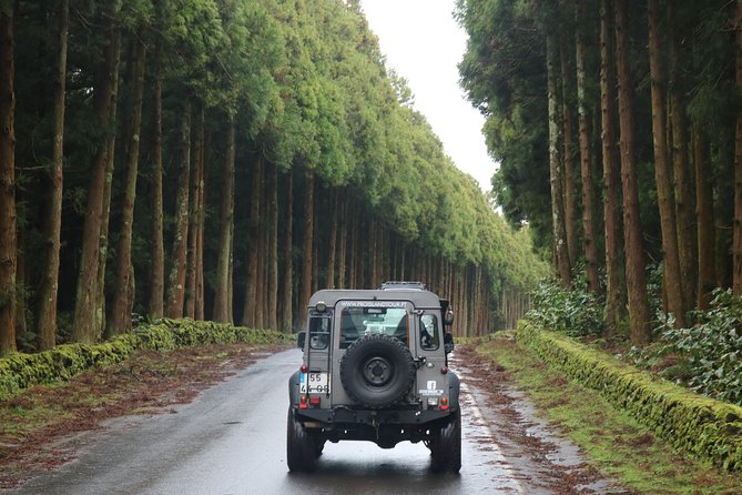 Half Day Terceira Island Tour by 4x4 - When Guides Add Surprise Stops Like Banana Plantation and Cats