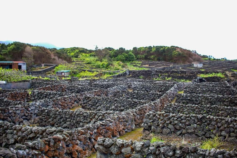 Half Day Tour - Algar do Carvão Lava Route - Lagoa das Patas: serenity first, then the island’s power