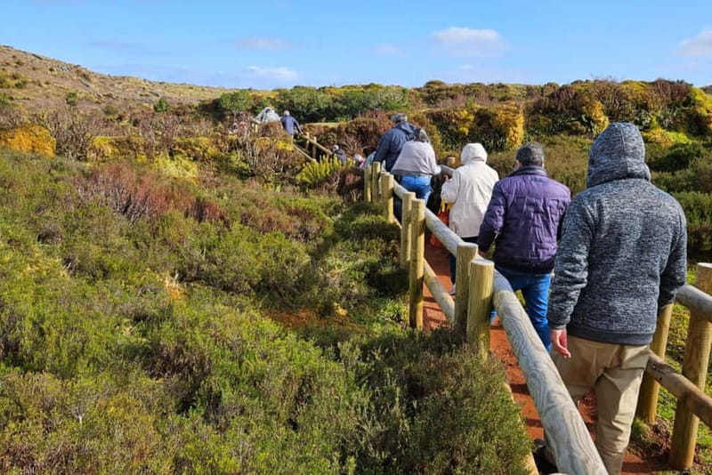 Half Day Tour - Algar do Carvão Lava Route - Price and value: what $64 covers, and what to double-check