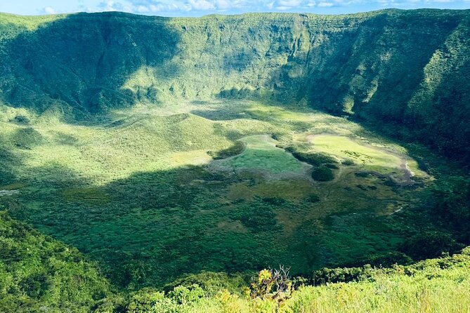 Half-Day Tour around Faial Island - Pickup and the Van Ride: Small Group, Easy Start