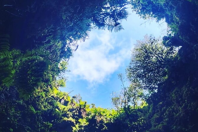 Half Day Tour to the Caves - A 2:00 pm half-day plan in Angra do Heroísmo