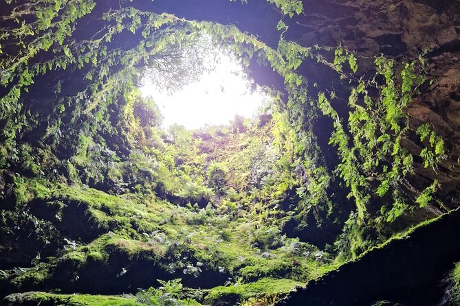 Half Day Tour to the Caves - Guides who answer every question, and actually pace the day