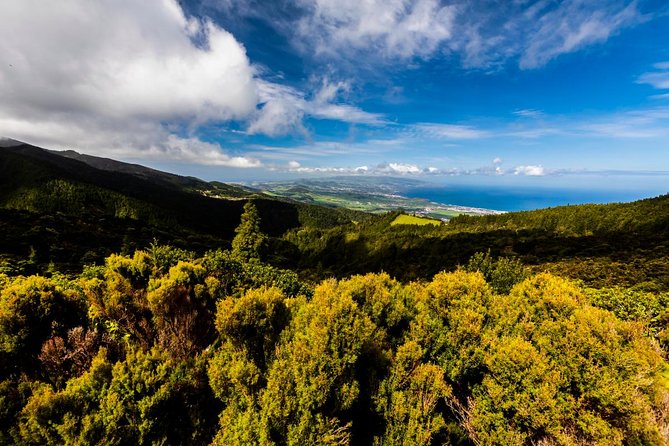 Hidden Gems of Sao Miguel Island Full Day Tour with Lunch - A Small-Group São Miguel Day, Timed for Real Sightseeing