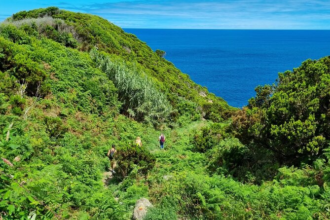 Hike 3 hours Coast of Terceira Island - How Guide Mario Turns Views into Island Lessons