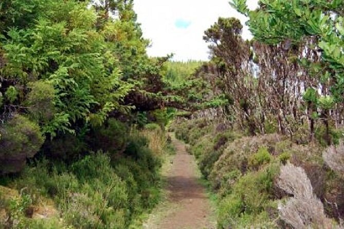 Hike 3 hours Inland Terceira Island - Key highlights you should know