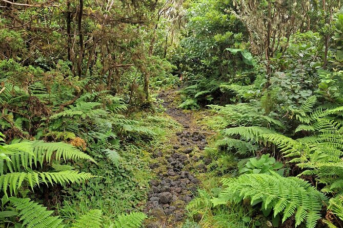 Hike 3 hours Inland Terceira Island - Trilha de Misterios Negros: volcanic walking and domes in the middle of it