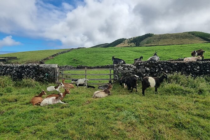 Hike 3 hours Inland Terceira Island - Logistics that affect your day more than you think