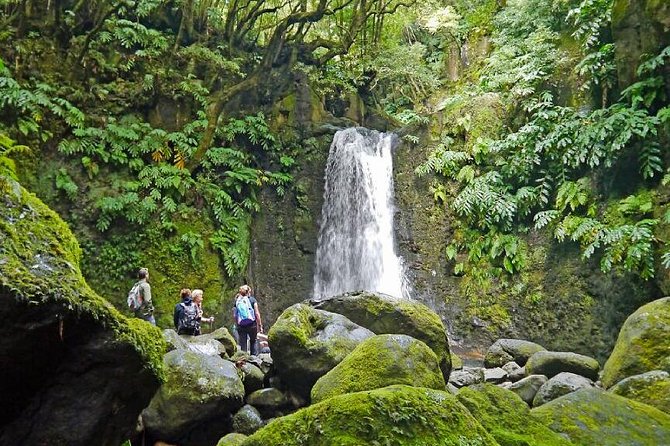 Hiking Faial da Terra + Van Tour Nordeste - A Full Day Hike That Starts in Faial da Terra