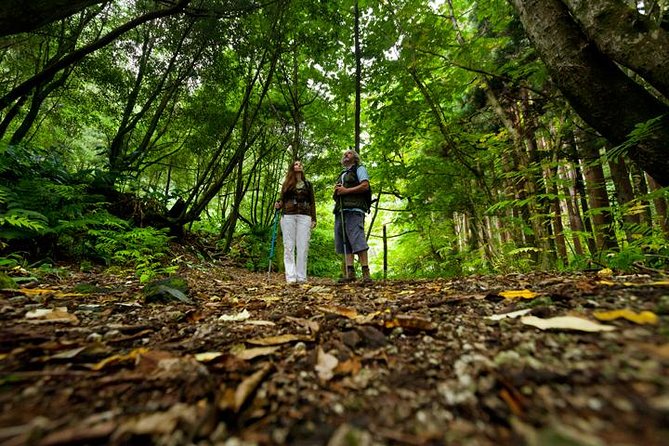 Hiking Faial da Terra + Van Tour Nordeste - Faial da Terra to Sanguinho: The Walk With a Human Story