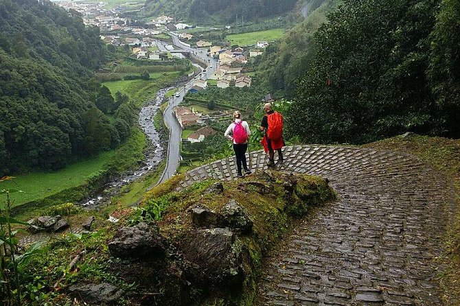 Hiking Faial da Terra + Van Tour Nordeste - Who This Tour Suits Best (and Who Should Rethink)