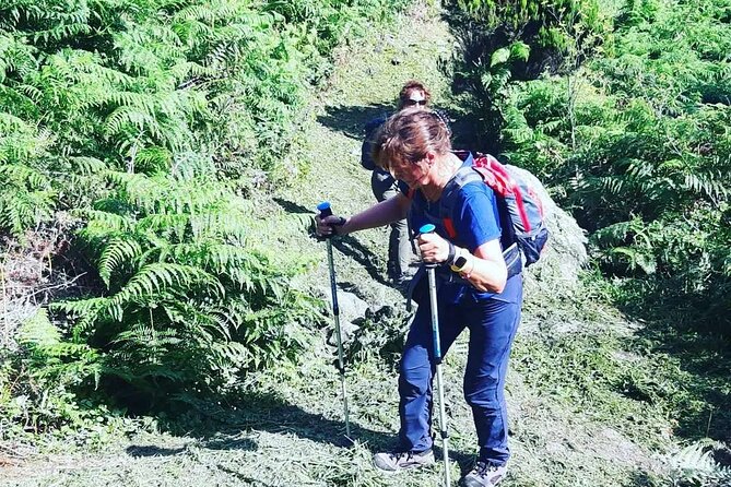 Hiking Trail Baías da Agualva | Terceira Island - Entering the 2-hour route: what you can expect on the walk