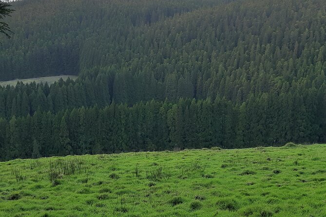Hiking Trail Black Mysteries | Terceira Island - Fitness level, timing, and what to pack for a 3-hour trail