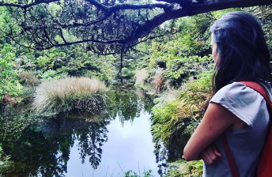 Hiking Trail Mistérios Negros | Terceira Island - Why the Misterios Negros hike feels different on Terceira