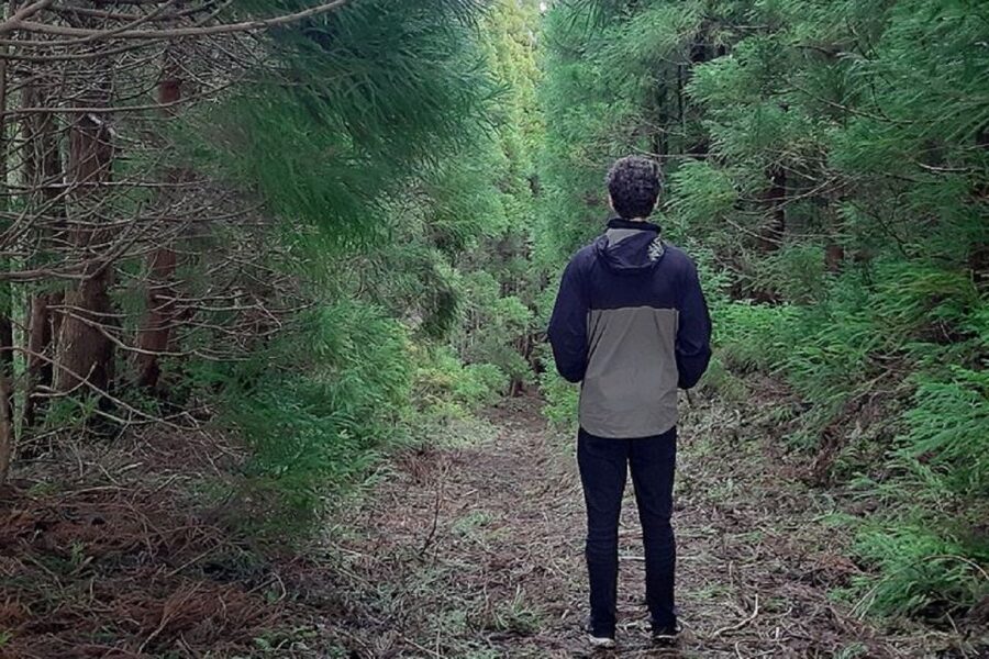Hiking Trail Mistérios Negros | Terceira Island - What you’re paying for: value of a $58 Terceira hike