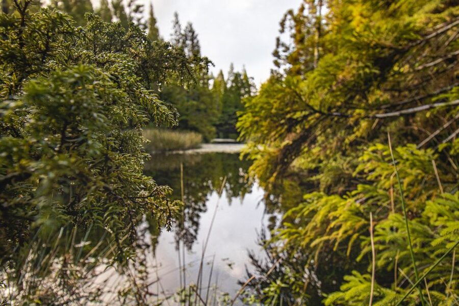 Ilha Terceira: Hiking - Key highlights worth your time