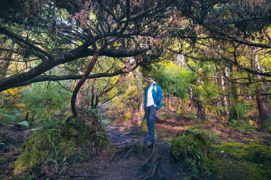 Ilha Terceira: Hiking - Ilha Terceira Hiking: What You’re Actually Seeing on Foot