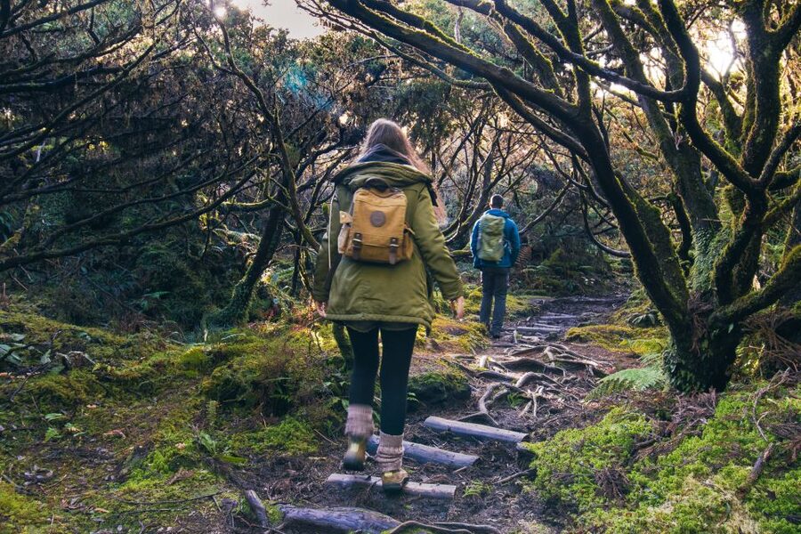 Ilha Terceira: Hiking - What to Bring and How to Stay Comfortable