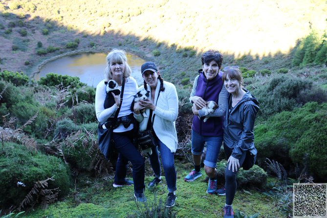 In and Around Terceira Island in a 4X4 - Lunch is the main event: traditional food, wine, beer, and desert