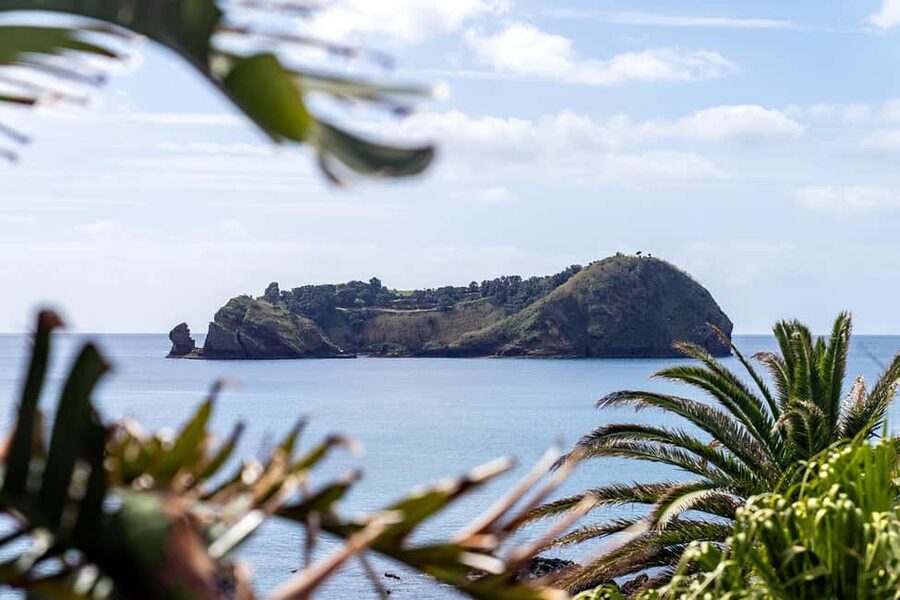 Inside Vila Franca Islet: Guided Nature Reserve Eco Tour - The guides: what “good” looks like here