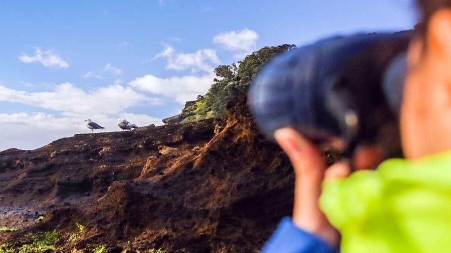 Inside Vila Franca Islet: Guided Nature Reserve Eco Tour - What can go wrong: rough seas, shorter shore time, and how the tour responds