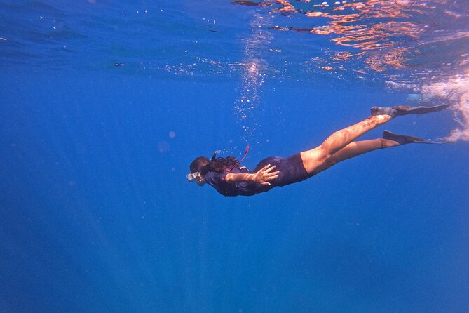 Islet of Vila Franca do Campo Snorkeling Tour - Key highlights before you go