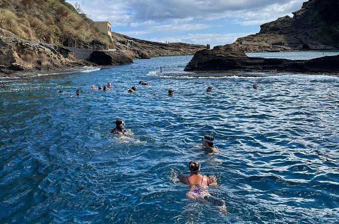 Islet of Vila Franca do Campo Snorkeling Tour - Who this snorkeling trip is best for