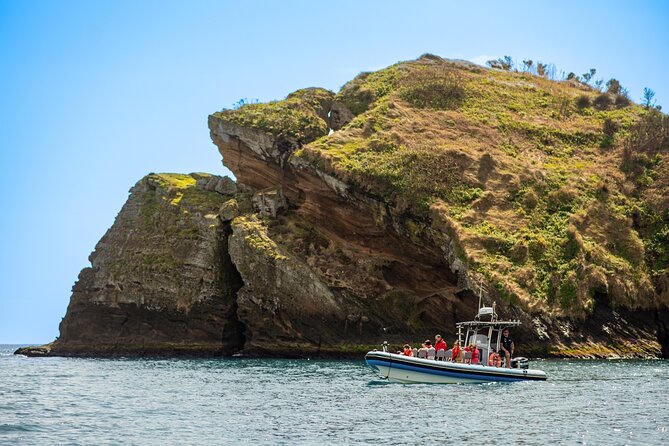 Islet Tour – Boat Trip Around the Ilhéu de Vila Franca - Key Highlights You Should Not Miss