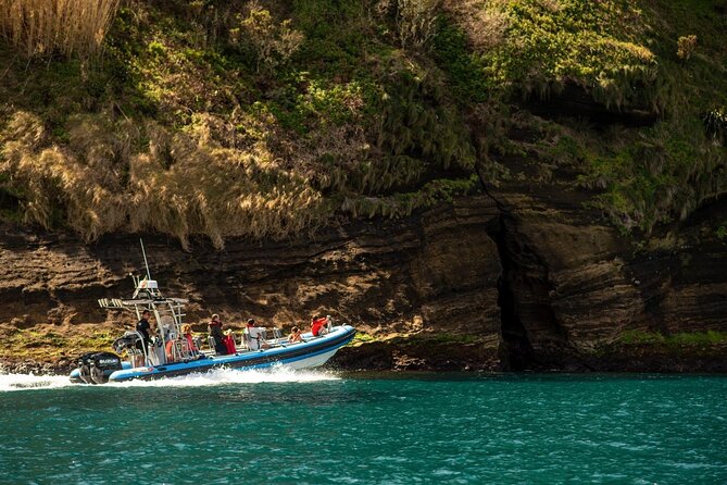 Islet Tour – Boat Trip Around the Ilhéu de Vila Franca - Small Group Size, Comfort, and What It Feels Like