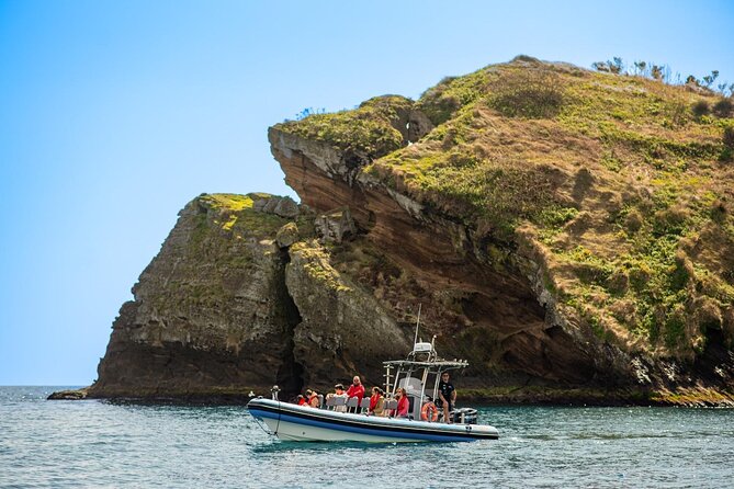 Islet Tour – Boat Trip Around the Ilhéu de Vila Franca - Who This Is Best For, and Who Might Want to Skip It