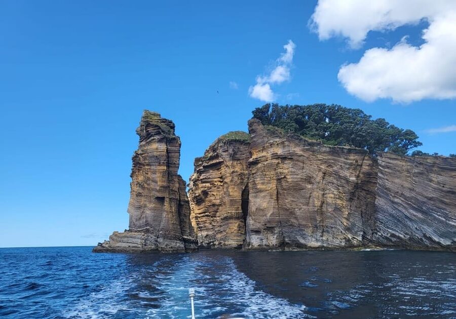 Islet Tour- Ilhéu de Vila Franca do Campo - Wildlife spotting from the boat, including dolphins sometimes