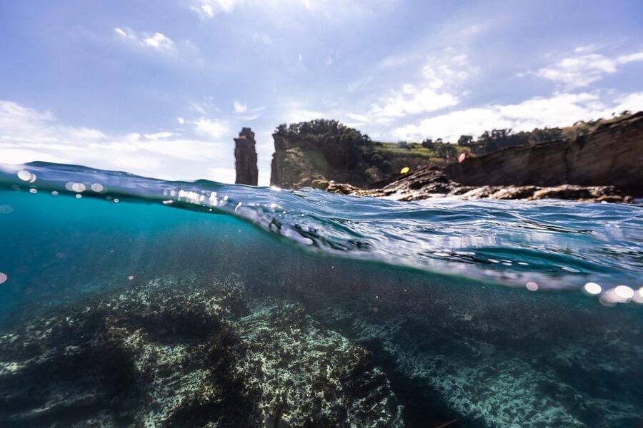 Kayak Guided Tour: Vila Franca do Campo Islet - FAQ