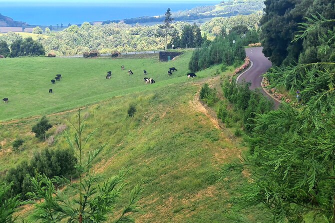 Lagoa do Fogo and Ribeira Grande Half Day Private Tour - Why this half-day route is so satisfying