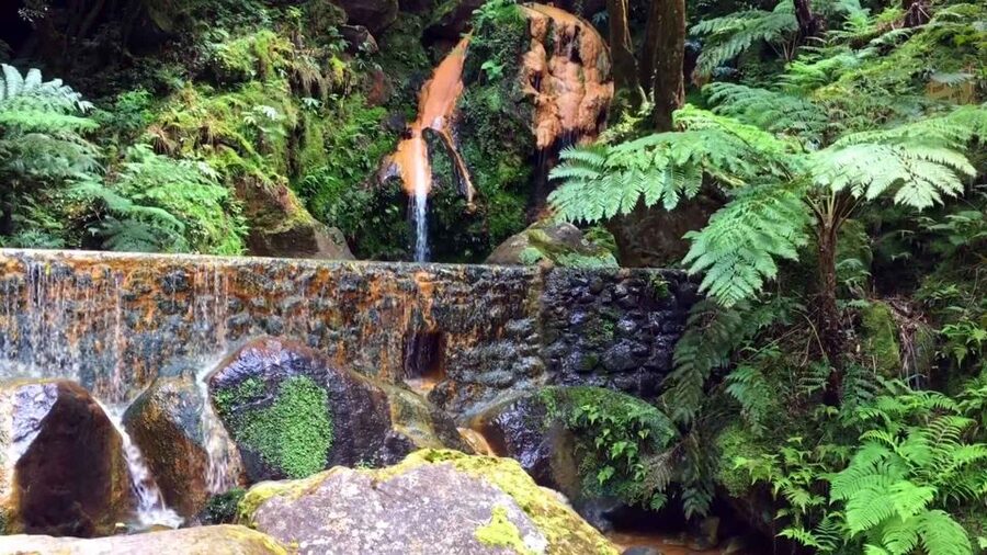Lagoa do Fogo: Biologist-guided Volcano e-Tour +Hot Springs - Should you book the Lagoa do Fogo volcano and hot springs tour?