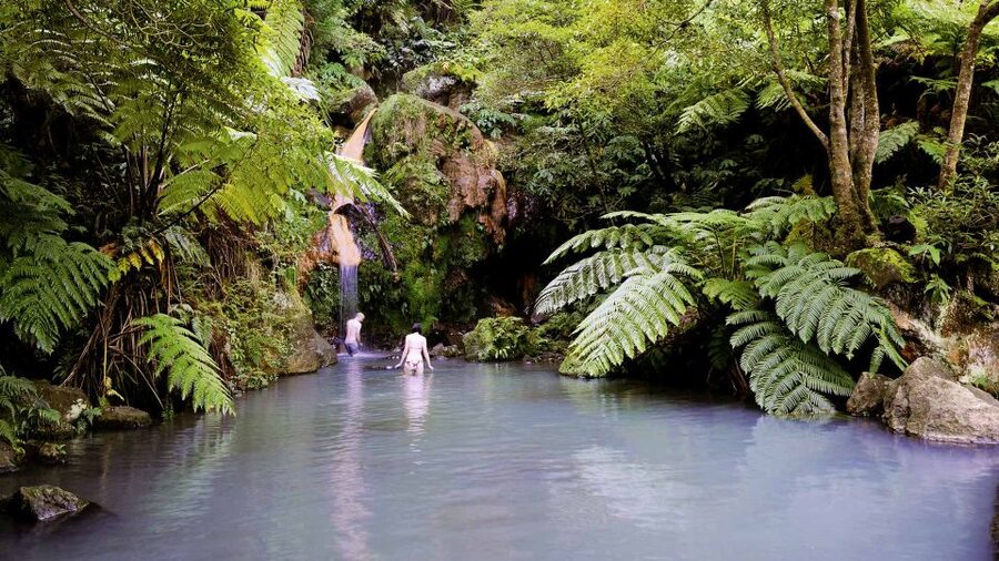 Lagoa do Fogo: Biologist-guided Volcano e-Tour +Hot Springs - The scenic drive stops that make Lagoa do Fogo worth the trip