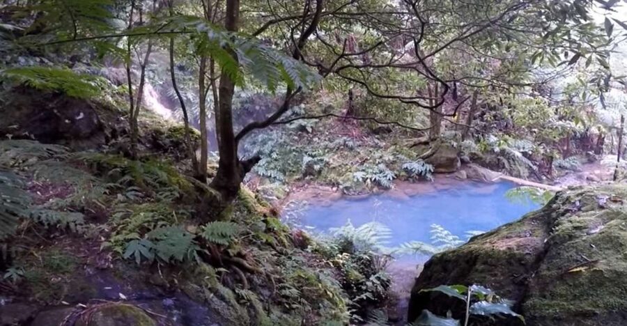 Lagoa do Fogo: Biologist-guided Volcano e-Tour +Hot Springs - Meeting at Vila Franca do Campo, then letting the guide take the wheel