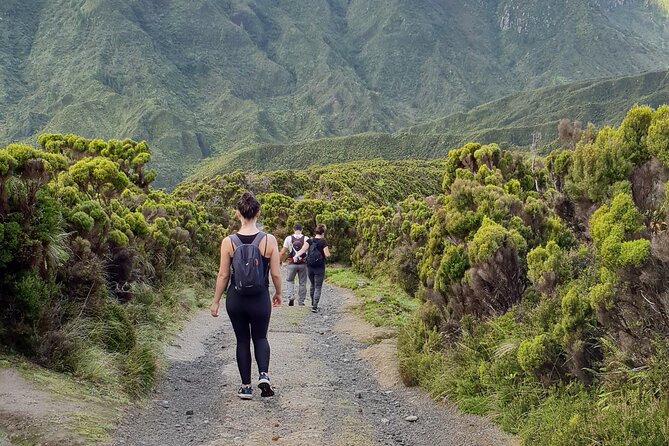 Lagoa do Fogo: Private Scenic Walking Tour - Lagoa do Fogo itself: water trails and a full-on ascent