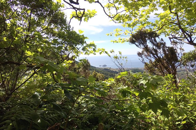 Lagoa do Fogo Walking Tour with Lunch from Ponta Delgada - From Ponta Delgada pickup to the start of the hike